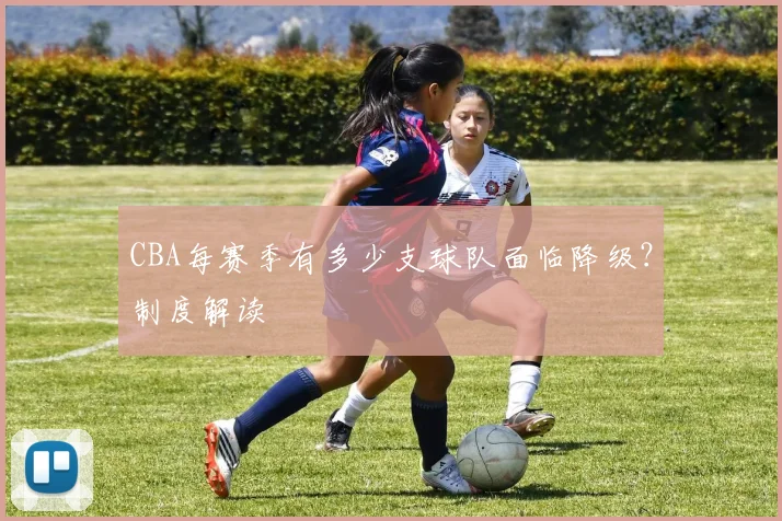 CBA每赛季有多少支球队面临降级？制度解读