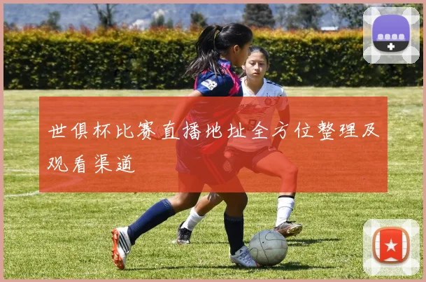 世俱杯比赛直播地址全方位整理及观看渠道