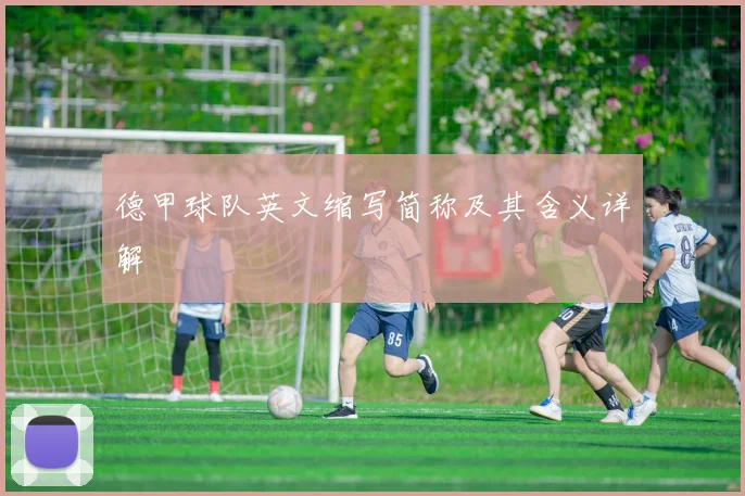 德甲球队英文缩写简称及其含义详解