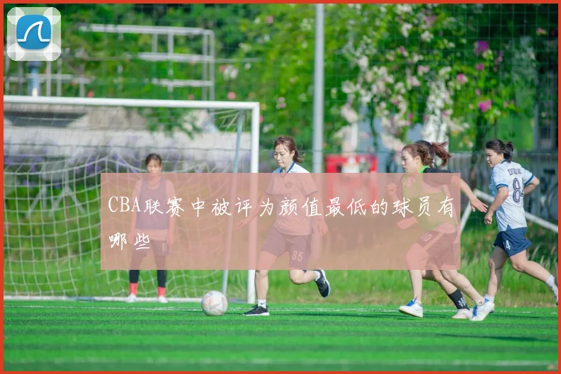 CBA联赛中被评为颜值最低的球员有哪些